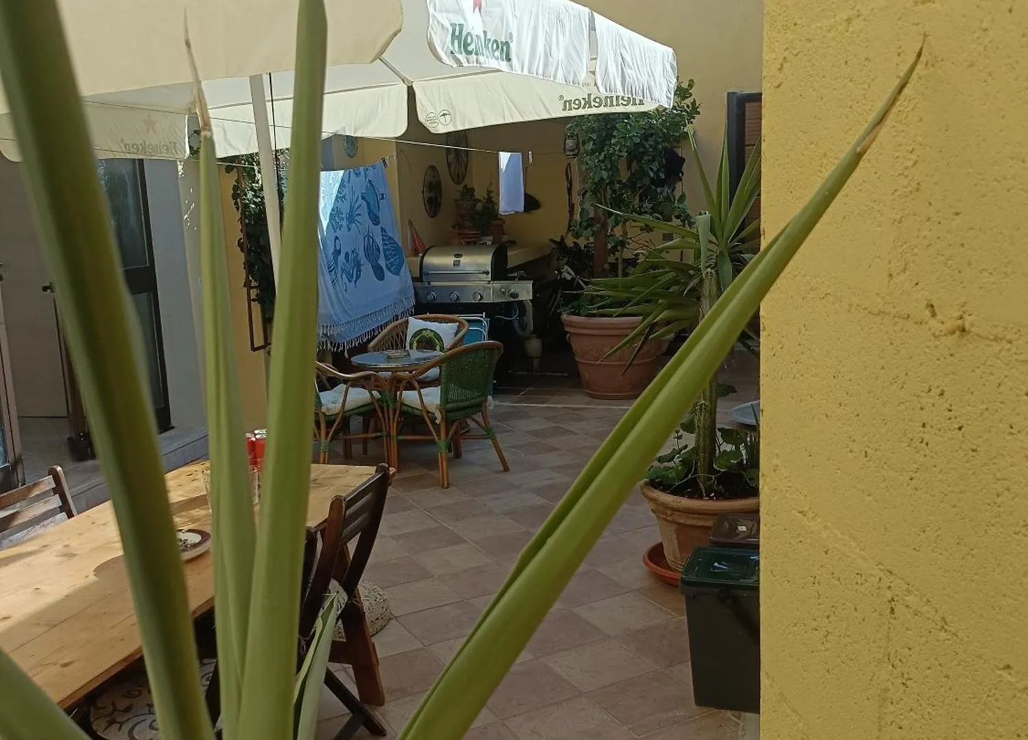 Bed & Breakfast Simbilis B&B Holiday Experience Aloe Quartu SantʼElena